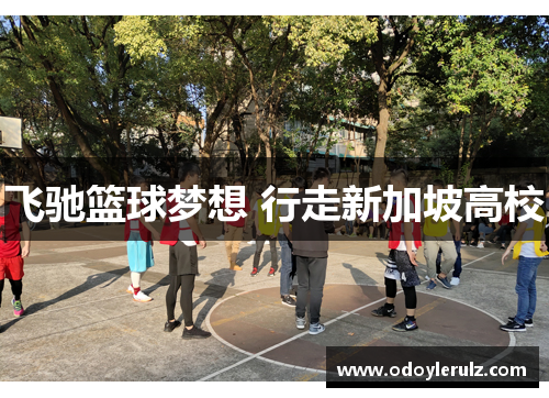 飞驰篮球梦想 行走新加坡高校
